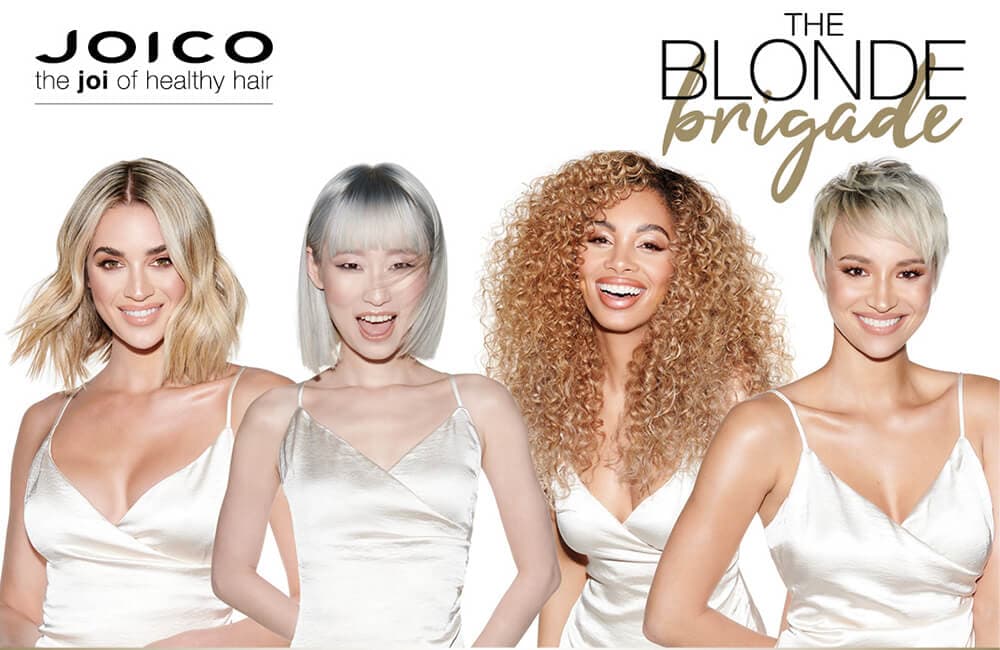 Joico productos